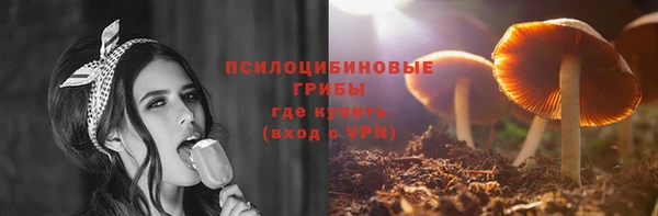 твердый Белоозёрский