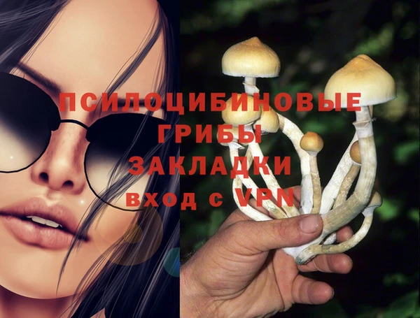спиды Беломорск