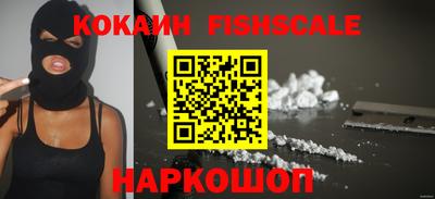 спиды Гатчина