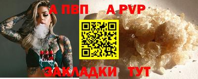 спиды Гатчина