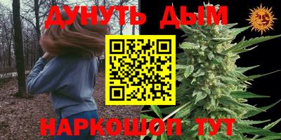 спиды Гатчина