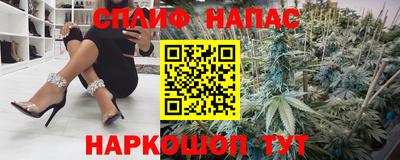 спиды Гатчина