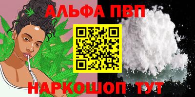 спиды Гатчина