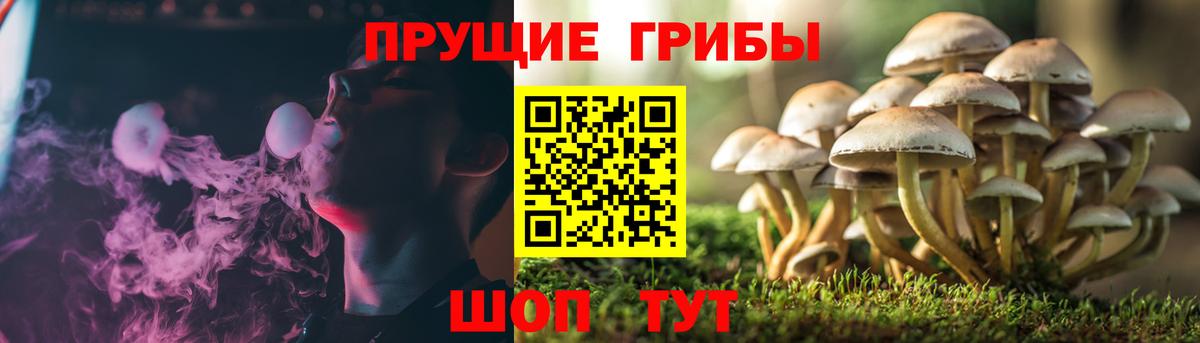 Галлюциногенные грибы мицелий  Вход с VPN  Лыткарино 
