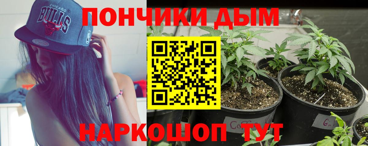 Бошки Шишки AK-47  Бошки Шишки план  Вход с VPN  Лыткарино 